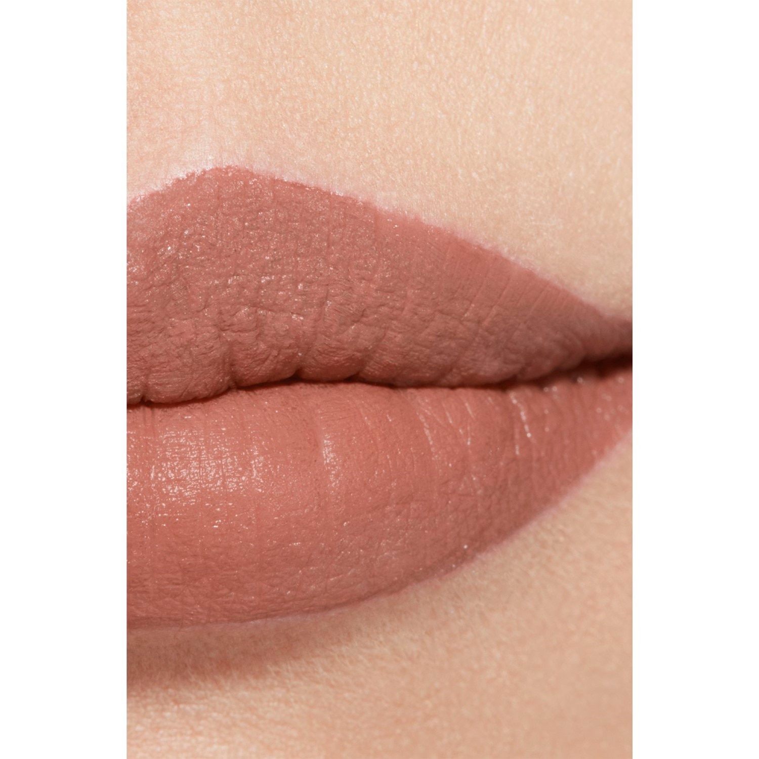 LA BARRA DE LABIOS ATERCIOPELADA LUMINOSA